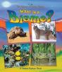 What Is A Biome? - Preview