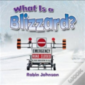 What Is A Blizzard?