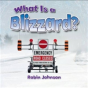 What Is A Blizzard? - Preview