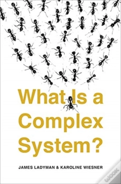 Capa do artigo What Is A Complex System?