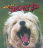 What Is A Dog - Preview