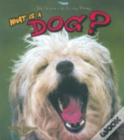 Capa do artigo What Is A Dog