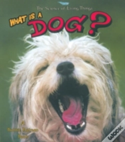Capa do artigo What Is A Dog
