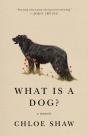 What Is A Dog? - Preview