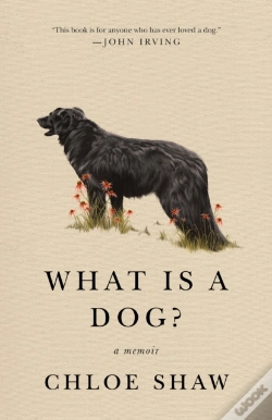 Capa do artigo What Is A Dog?