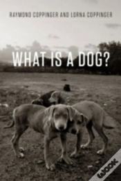 Capa do artigo What Is A Dog?