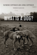What Is A Dog?