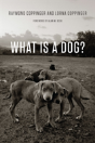 What Is A Dog? - Preview