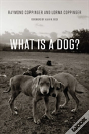 Capa do artigo What Is A Dog?