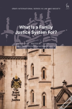 Capa do artigo What Is A Family Justice System For?