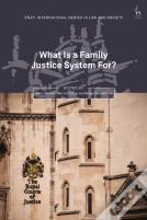 What Is A Family Justice System For?