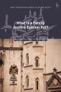 What Is A Family Justice System For? - Preview