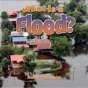What Is A Flood? - Preview