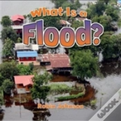 Capa do artigo What Is A Flood?