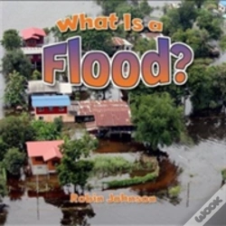 Capa do artigo What Is A Flood?