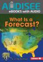 What Is A Forecast? - Preview