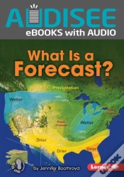 Capa do artigo What Is A Forecast?