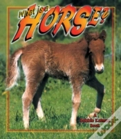 Capa do artigo What Is A Horse?