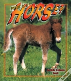 Capa do artigo What Is A Horse?