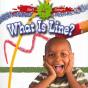 What Is A Line? - Preview