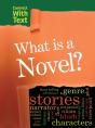 What Is A Novel? - Preview
