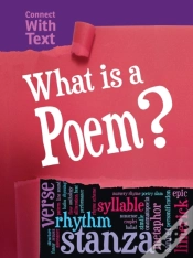 Capa do artigo What Is A Poem?
