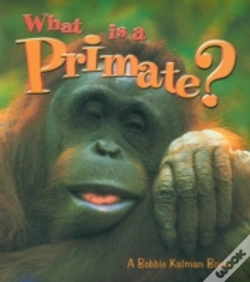 Capa do artigo What Is A Primate