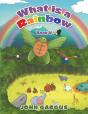 What Is A Rainbow - Preview