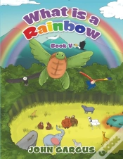Capa do artigo What Is A Rainbow
