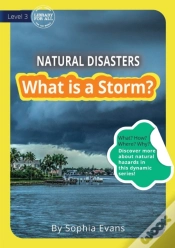 Capa do artigo What Is A Storm?