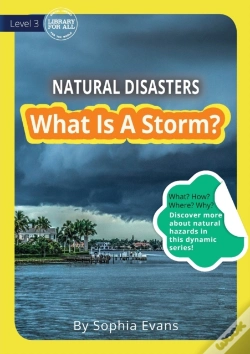 Capa do artigo What Is A Storm?