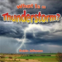 What Is A Thunderstorm? - Preview