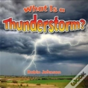 Capa do artigo What Is A Thunderstorm?