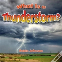Capa do artigo What Is A Thunderstorm?