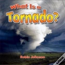 Capa do artigo What Is A Tornado?