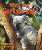 What Is A Vertebrate - Preview