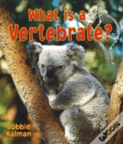 Capa do artigo What Is A Vertebrate