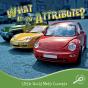 What Is An Attribute? - Preview