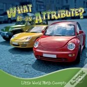 Capa do artigo What Is An Attribute?