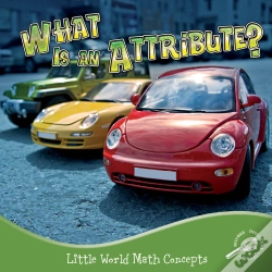 Capa do artigo What Is An Attribute?