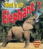 What Is An Elephant - Preview