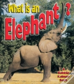 Capa do artigo What Is An Elephant