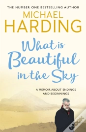 Capa do artigo What Is Beautiful In The Sky
