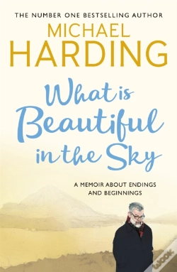 Capa do artigo What Is Beautiful In The Sky