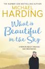What Is Beautiful In The Sky - Preview