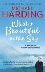 What Is Beautiful In The Sky - Preview