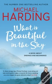 Capa do artigo What Is Beautiful In The Sky