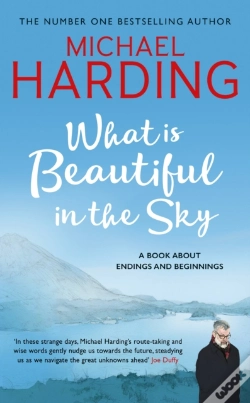 Capa do artigo What Is Beautiful In The Sky