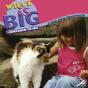 What Is Big Compared To Me? - Preview