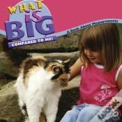 Capa do artigo What Is Big Compared To Me?